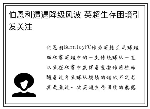 伯恩利遭遇降级风波 英超生存困境引发关注